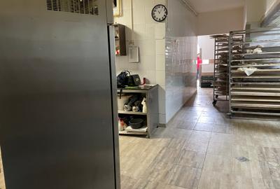 Pantelimon,Chisinau,Piata Delfinului,250 mp,toate utilitatile, - 5