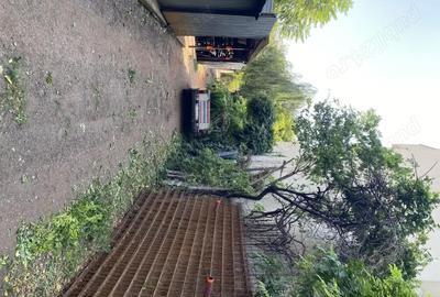 Teren de 550 mp, în Vitan - 3