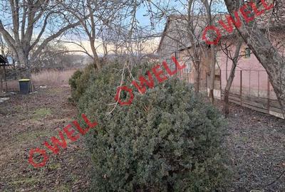 Teren de 1510 mp, în Central