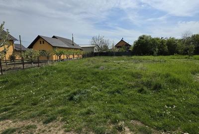 Teren de 700 mp, în Ghirdoveni - 3