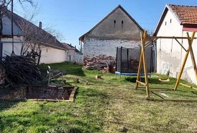Casă cu Teren 1270 Mp în Ianova - 1
