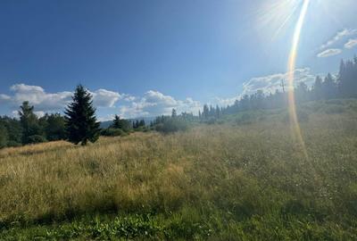12700 mp investitie rezidentiala- turistica- medicala Tinovul Mic/Șaru Dornei - 9