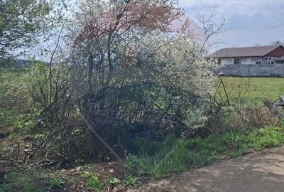 Teren de 1439 mp, în Borș