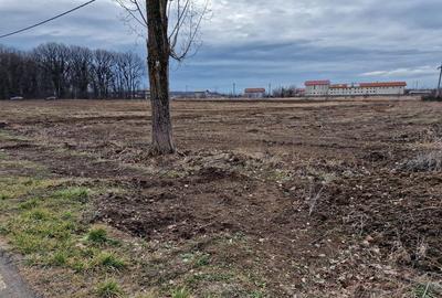 Ciolpani adiacent DN1 teren 12800 mp parcelabil toate uti... - 6