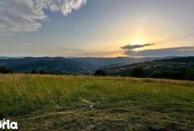 Teren de 17278 mp, în Horea - 4