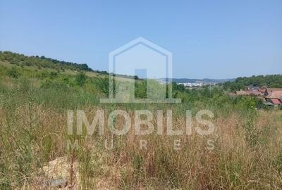 Teren de vanzare | 8800 mp | Viile Dealul Mic - 3