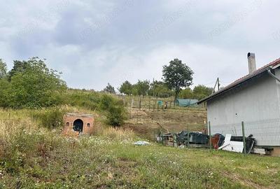 Teren intravilan de vanzare cu o crama zona Dealuri Oradea - 1