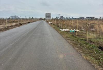 Theodor Pallady, Gura Solcii, 6000mp, vazare teren intravilan - 1