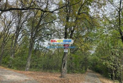 Teren intravilan de 3300 mp, în Periș - 2