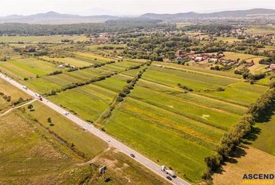Teren extravilan Lunca Calnicului langa E574 - 19