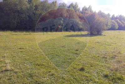 Teren agricol extravilan de 1100 mp, în Glăjărie - 3