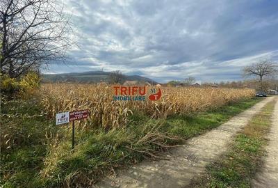 Teren intravilan de vânzare în Șard - 3