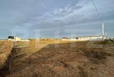 Hale noi pe parter sau P + 1, 1.755 mp utili, teren 4.000 mp, zona Ghercesti - 3