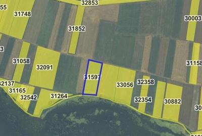 Teren de 4000 mp, în Berzasca - 1