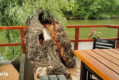 Casă cu Teren 1500 Mp în Murighiol - 10