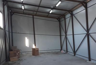 Spațiu comercial, de 220 mp, în Theodor Pallady