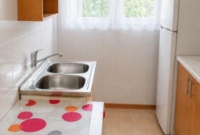 Apartament cu 2 camere decomandat în Astra