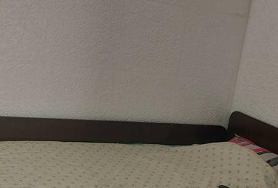 Apartament decomandat în Timpuri Noi - 5