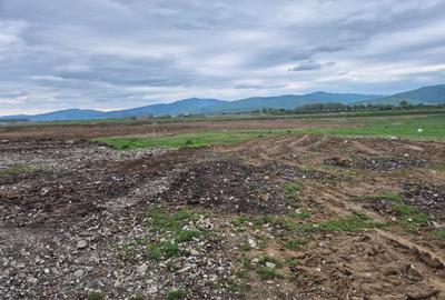 Teren Construcții intravilan de 1450 mp, în Cărpiniș - 17