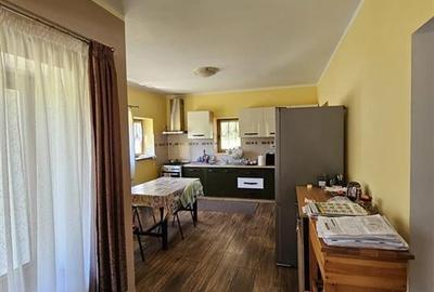 TEREN INTRAVILAN DEVANZARE 33161 MP DE VANZARE TARGU OCNA - 10