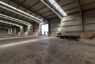 Surdila-Gaiseanca, Braila - 1