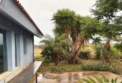 Casa cu teren Valencia - 2