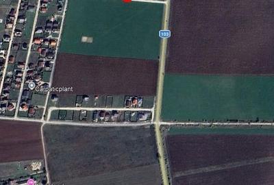 Spațiu comercial, în Bod