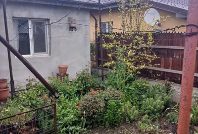 Casă cu Teren 405 Mp în Valu lui Traian - 2