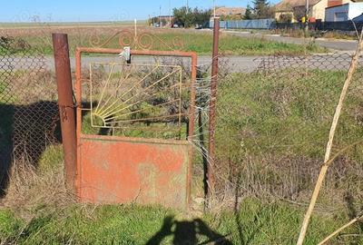 Vand casa cu teren in Tirgusorul,Constanta - 3