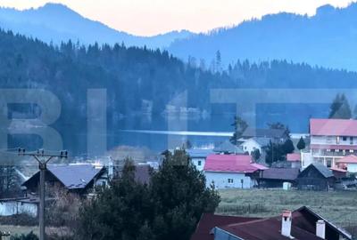 Teren de 2500 mp, în Colibița - 3