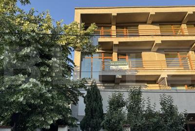Penthouse in casa la rosu, 144 mp utili cu 113 mp terasa, Brazda lui Novac - 2