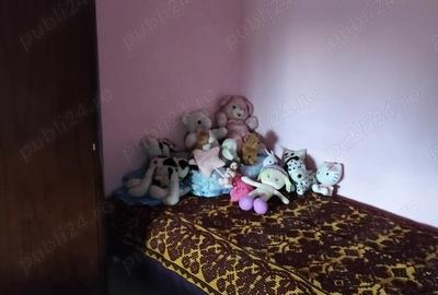 Casă în Aluniș - 6