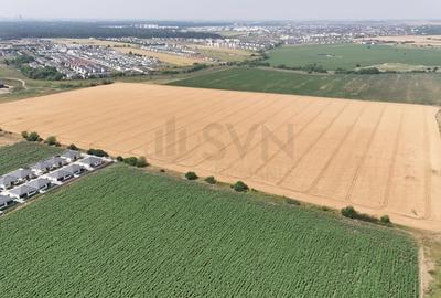 REL4001001 Teren Tunari  - planul 2 l Padurea Tunari - 4