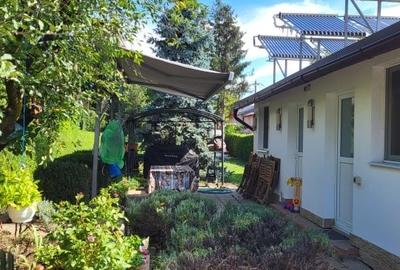 Refugiu verde în Snagov – Confort, spațiu și independență - 8