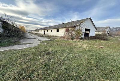 Teren Construcții intravilan de 27015 mp, în Exterior Nord - 5