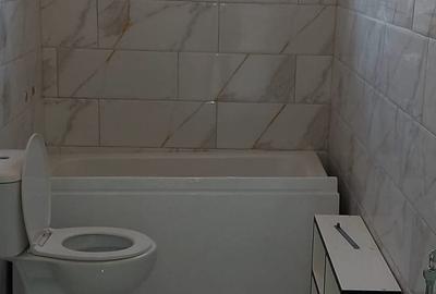 Varias – Duplex  Parter  4  Camere  + Pod Mansardat - 12