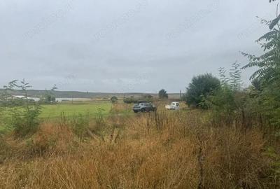 Teren de 10000 mp, în Moara