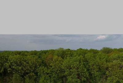 Spațiu comercial, în Ciolpani - 5