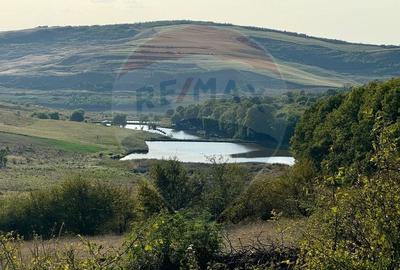 Teren agricol extravilan de 50000 mp, în Căianu-Vamă
