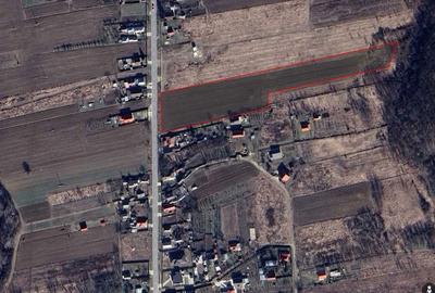 Teren de 13383 mp, în Broșteni - 5