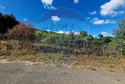 Teren 1,000mp Piatra-Neamt / Strada Pietrelor - 4