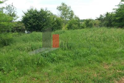 Teren Buftea cu iesire la lac - 7