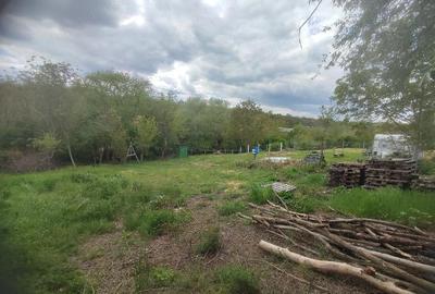 Teren de 1400 mp, în Plopșoru - 5