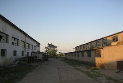 Teren intravilan 15.000 mp cu 3 hale industriale - Poarta Alba - 13
