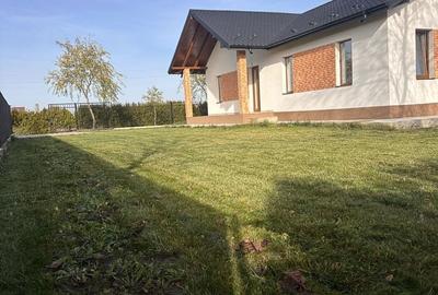 Casă cu 3 camere în Lunca Cetățuii - 2