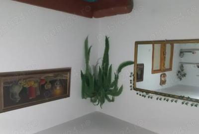 Casa de vanzare in sat Sarbi com.Budesti.Traieste linistea satului autentic maramuresan! - 1