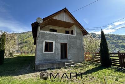 Casa cu teren langa rau Lotrioara - 3