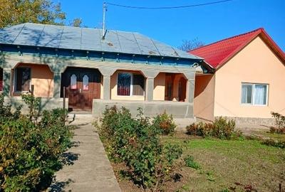 Casã de Vânzare - Bordei -Verde - 2