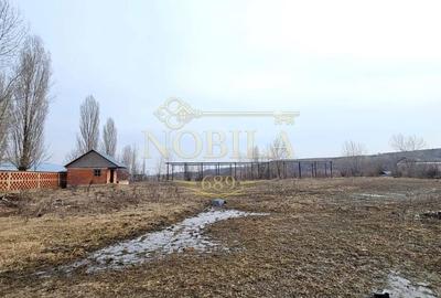 Teren de 57662 mp, în Căiuți - 10