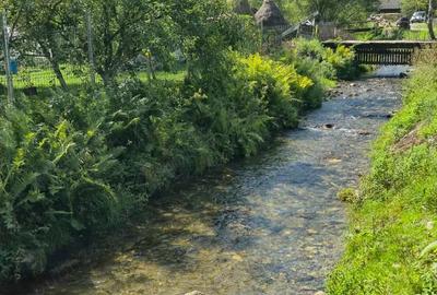 Teren ideal pentru investitie - 2